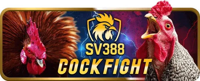 Hỗ trợ và FAQ 78vin Code